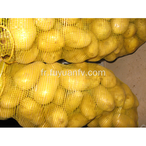 pomme de terre fraîche tengzhou pour l&#39;exportation